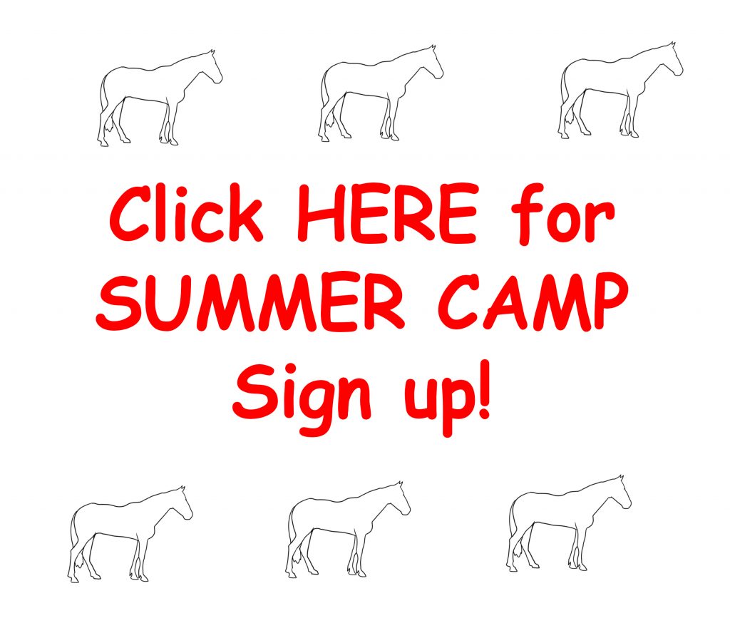 Summer Camp 2022 Sign up 